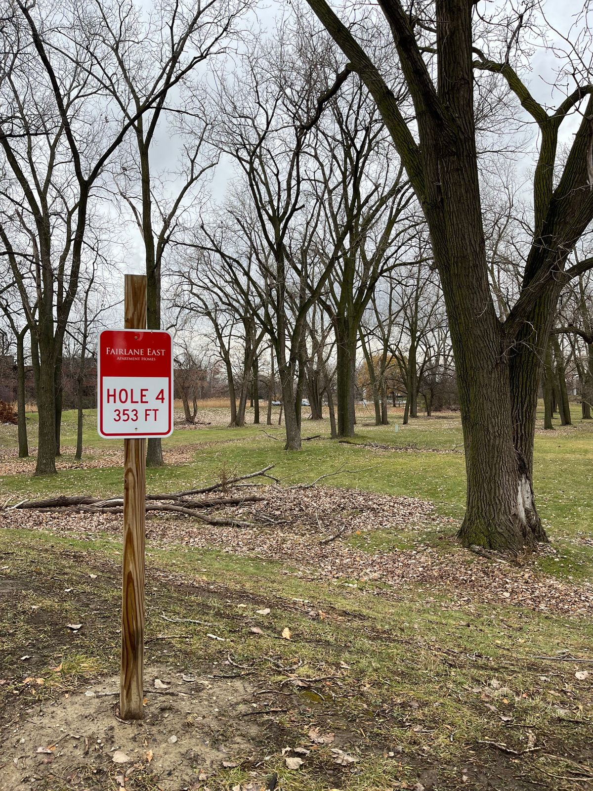 Hole 4