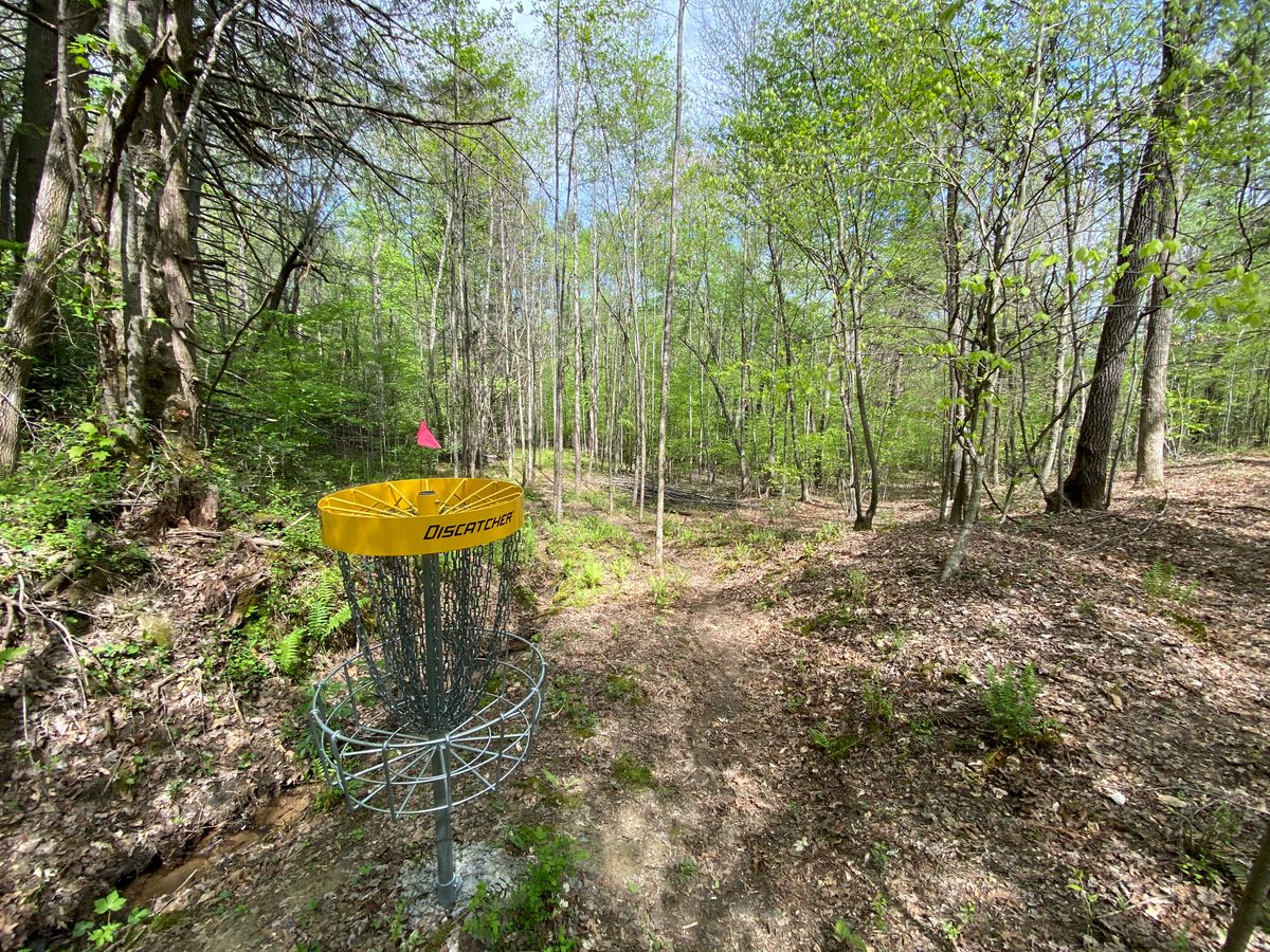 Hole 13 green.