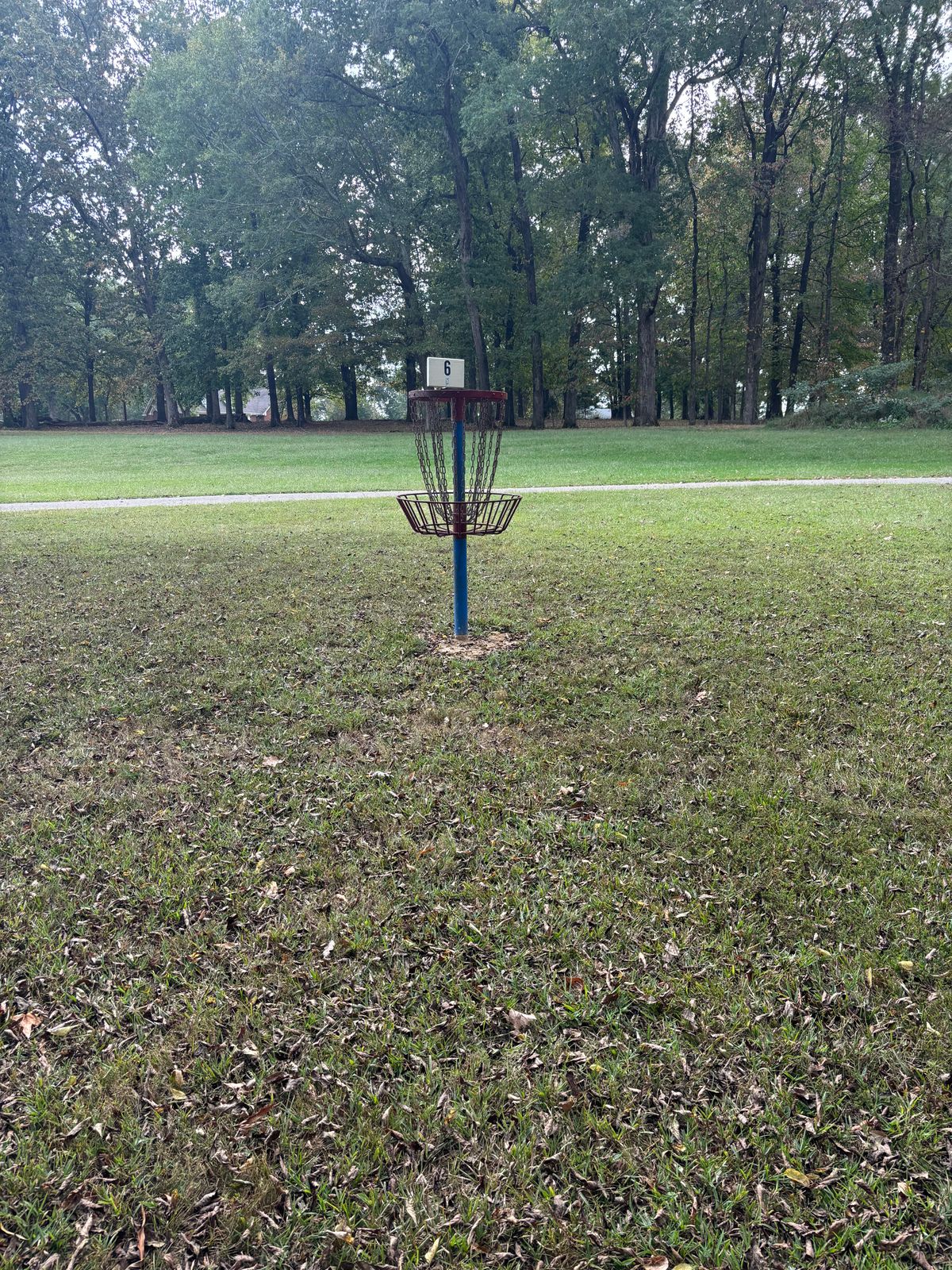 Hole 6 basket