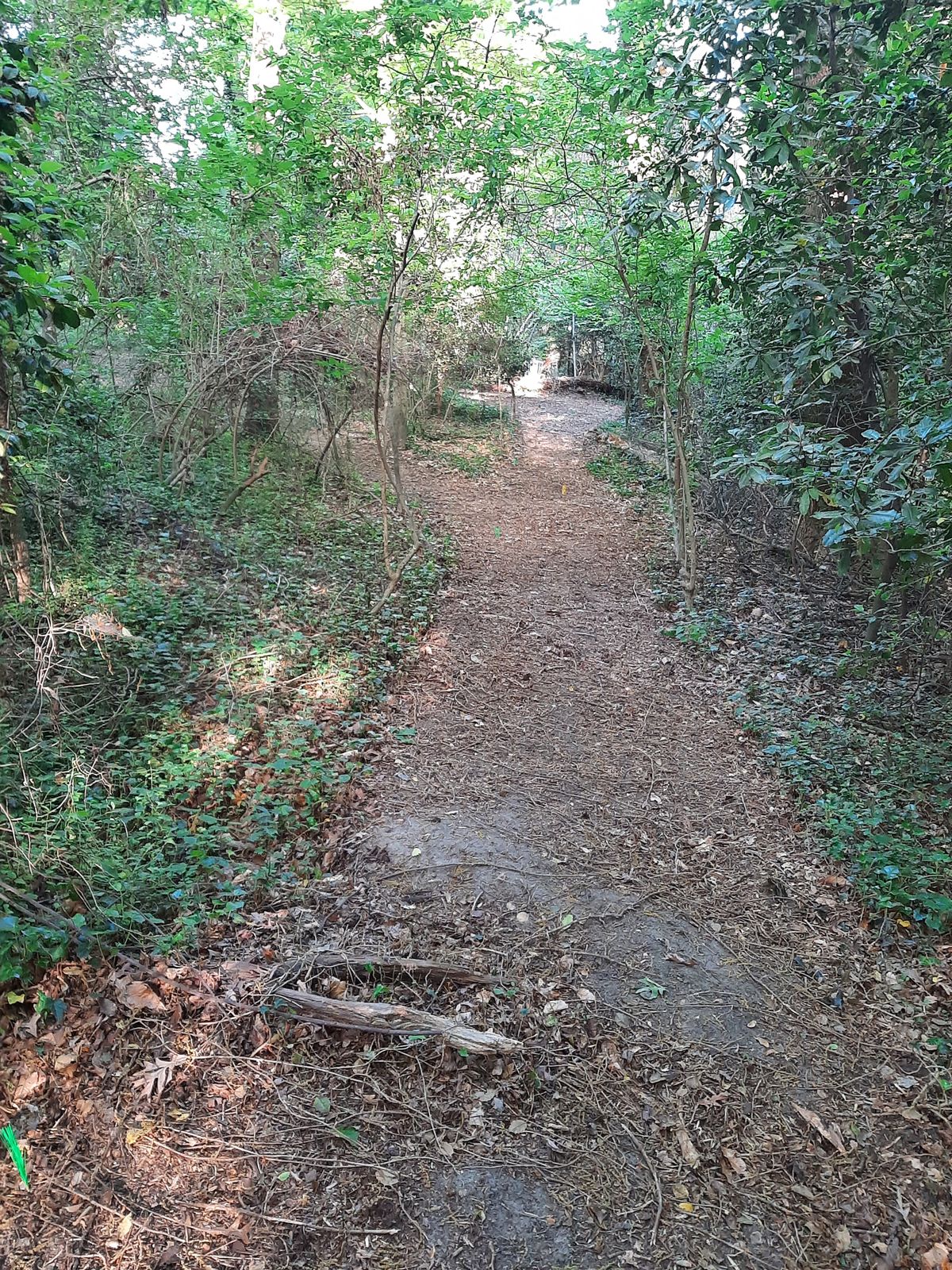 Hole 16 Blue, Gold, and Par 3 Layout Tee