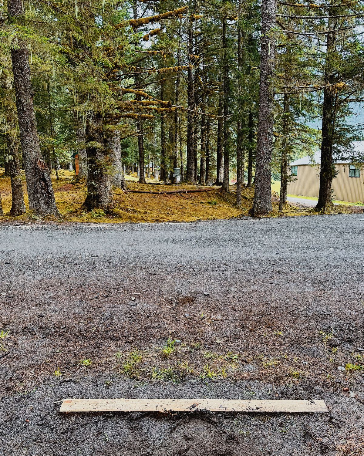 Hole 1 Tee Pad