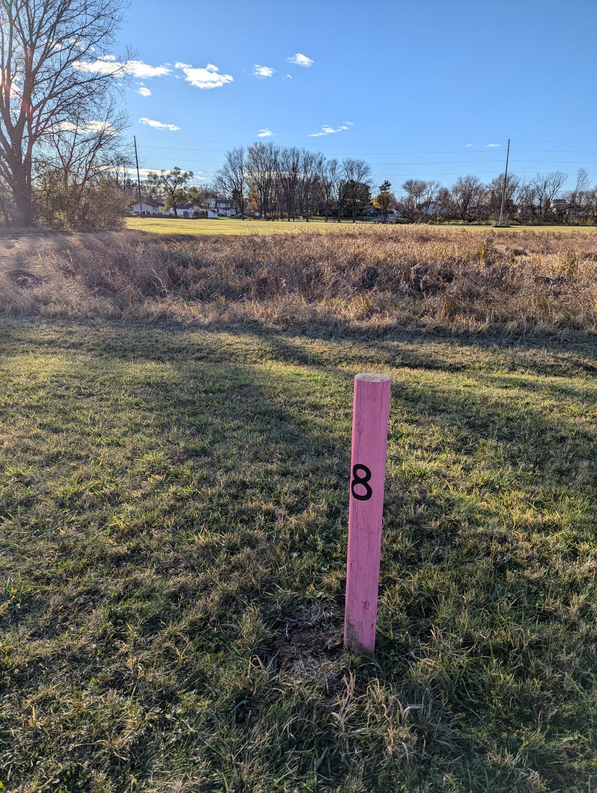 Hole 8 tee box facing basket 8