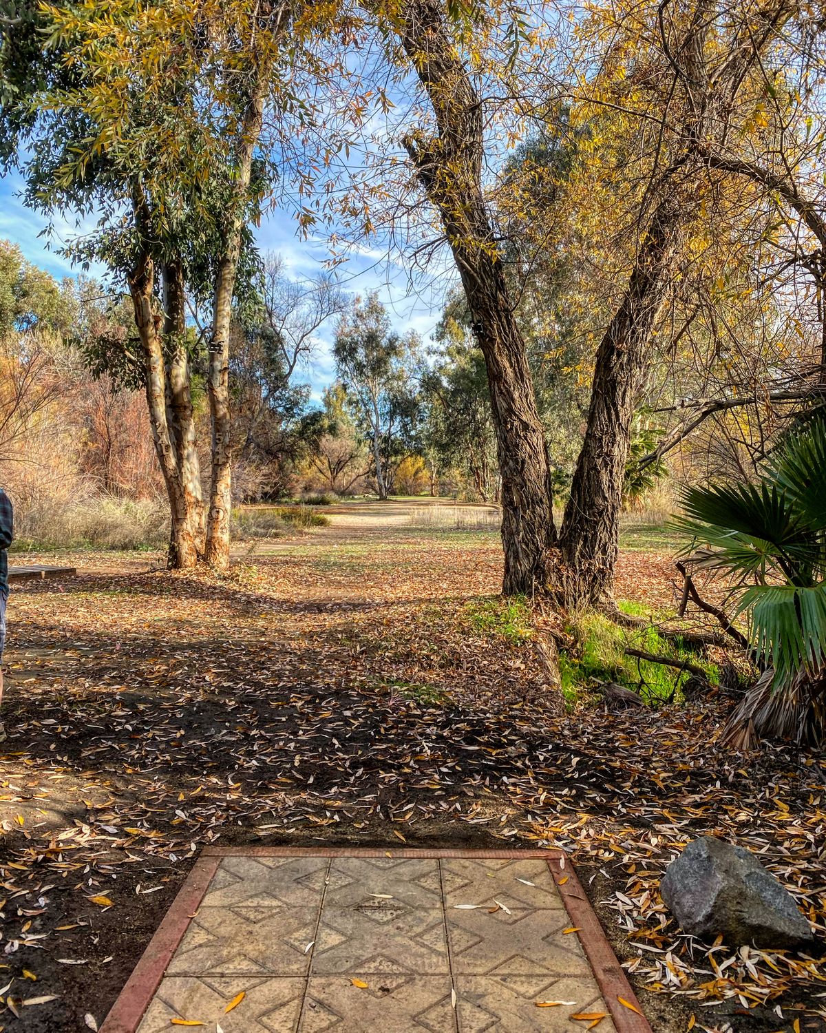 Hole 2xl long