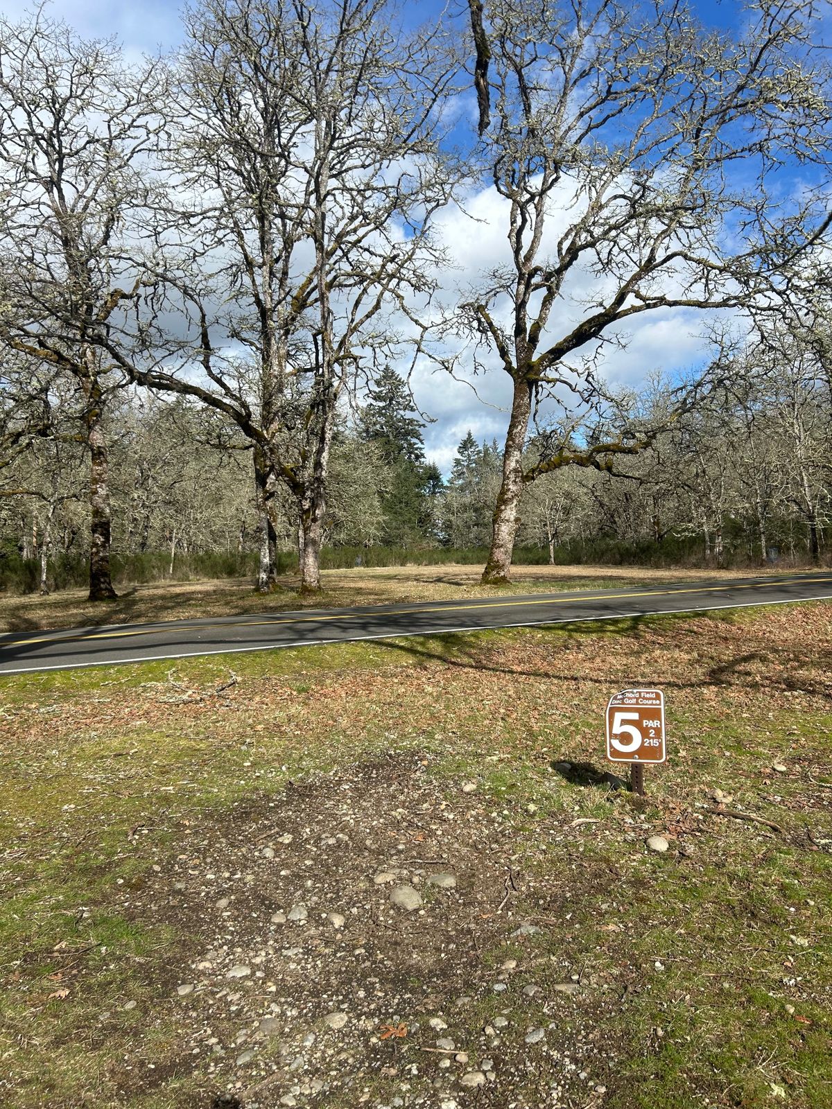 Hole 5