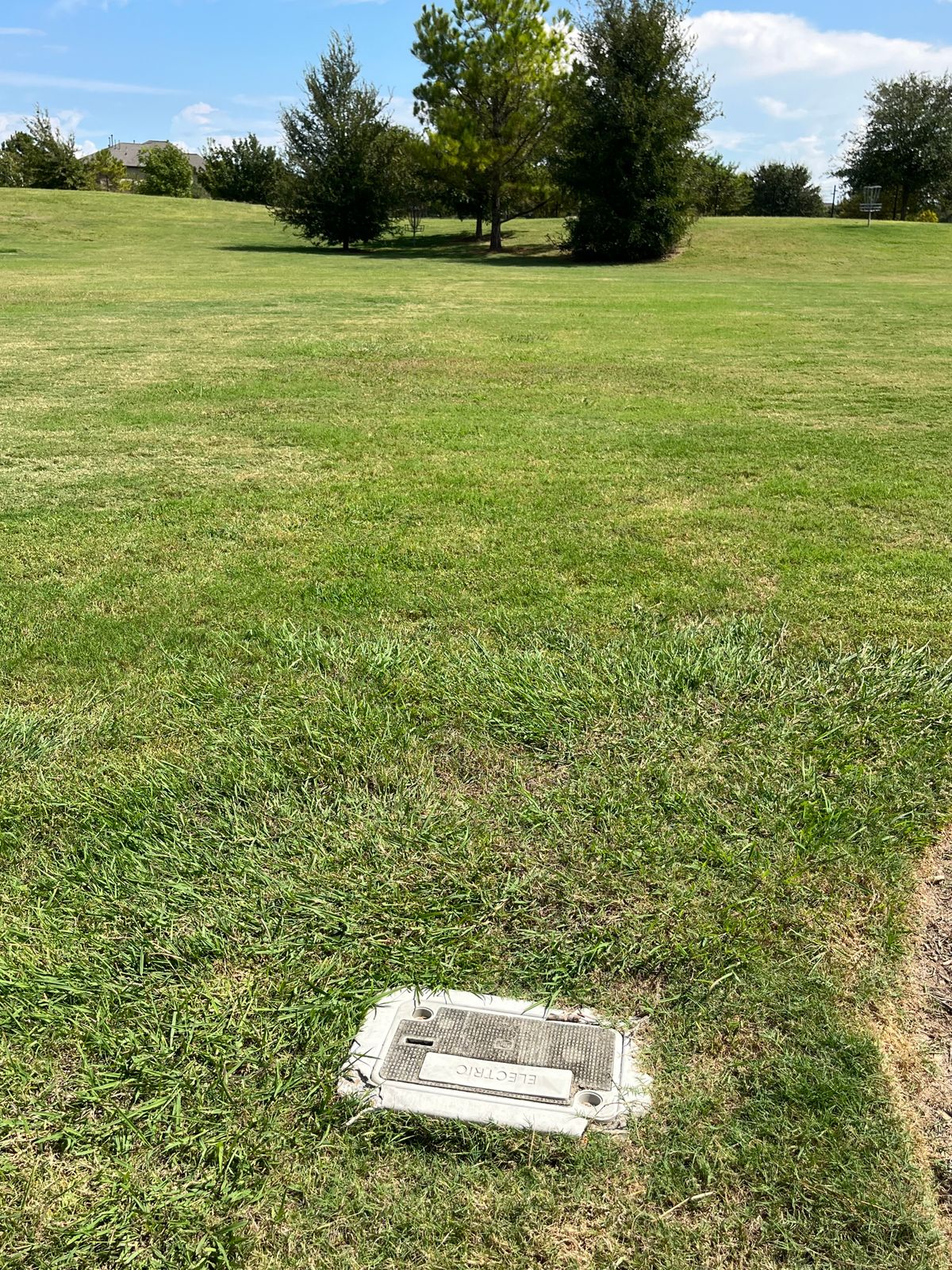Hole #6 tee box is utility box. Basket is surrounded by trees.