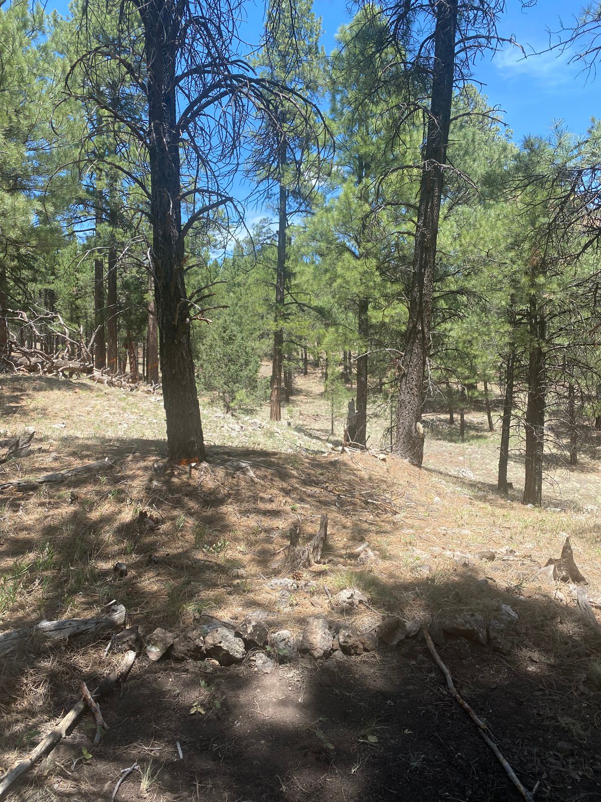 Hole 2. Tight gap. Another double mando