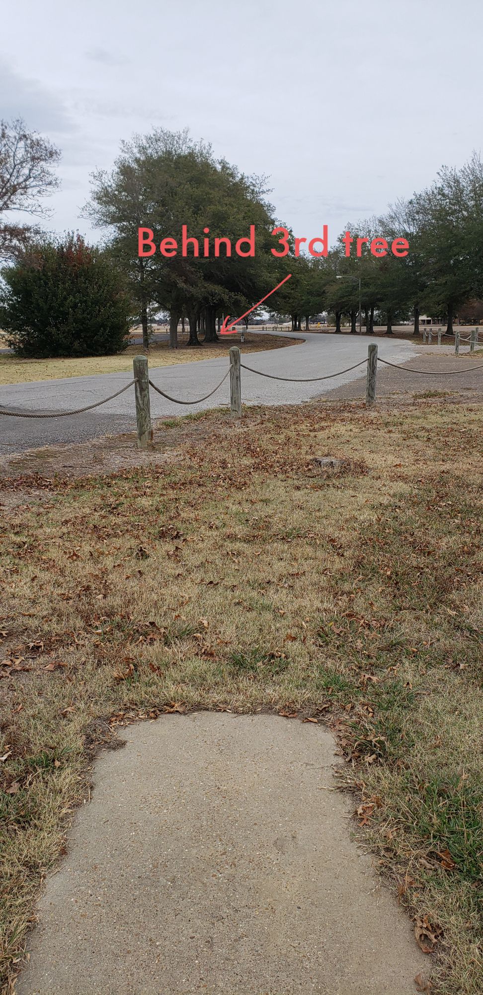 Hole 12 - main basket location