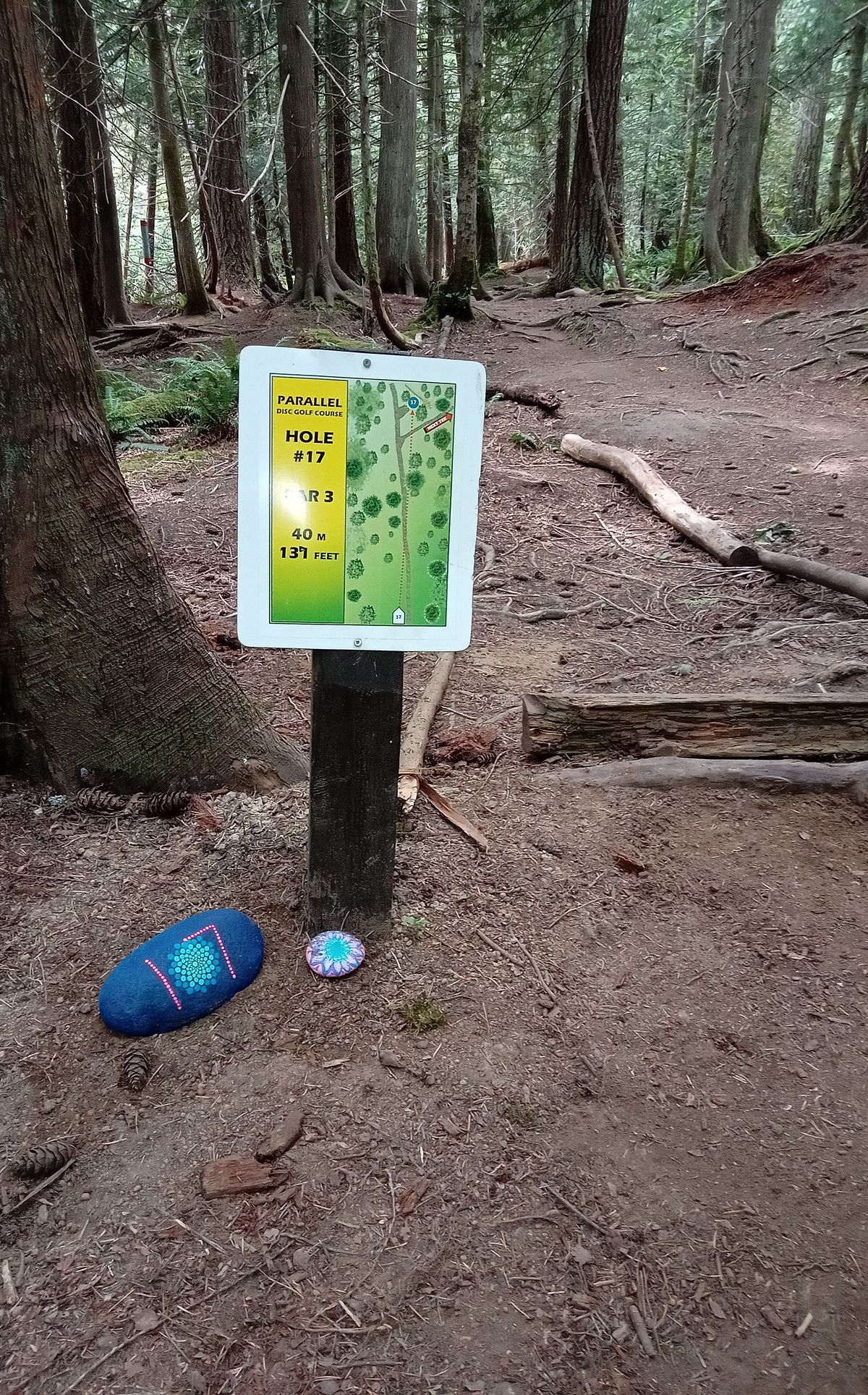 Hole 17 with bonus rock-art
