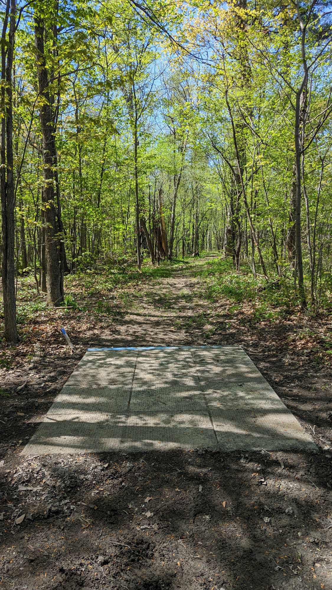 Hole 8 - New Tee Pads!