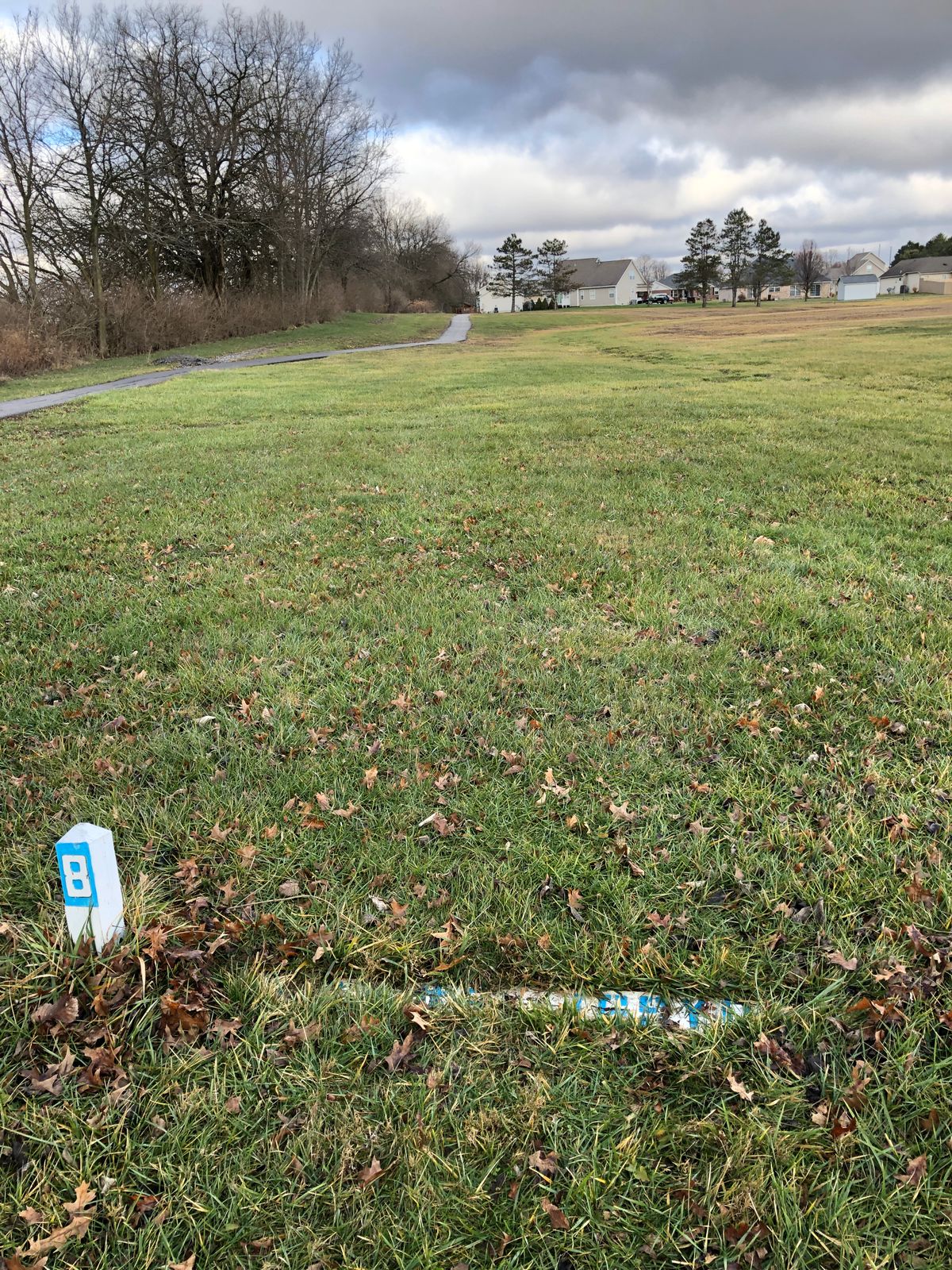 Hole 8 tee