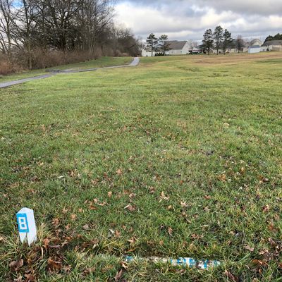 Hole 8 tee