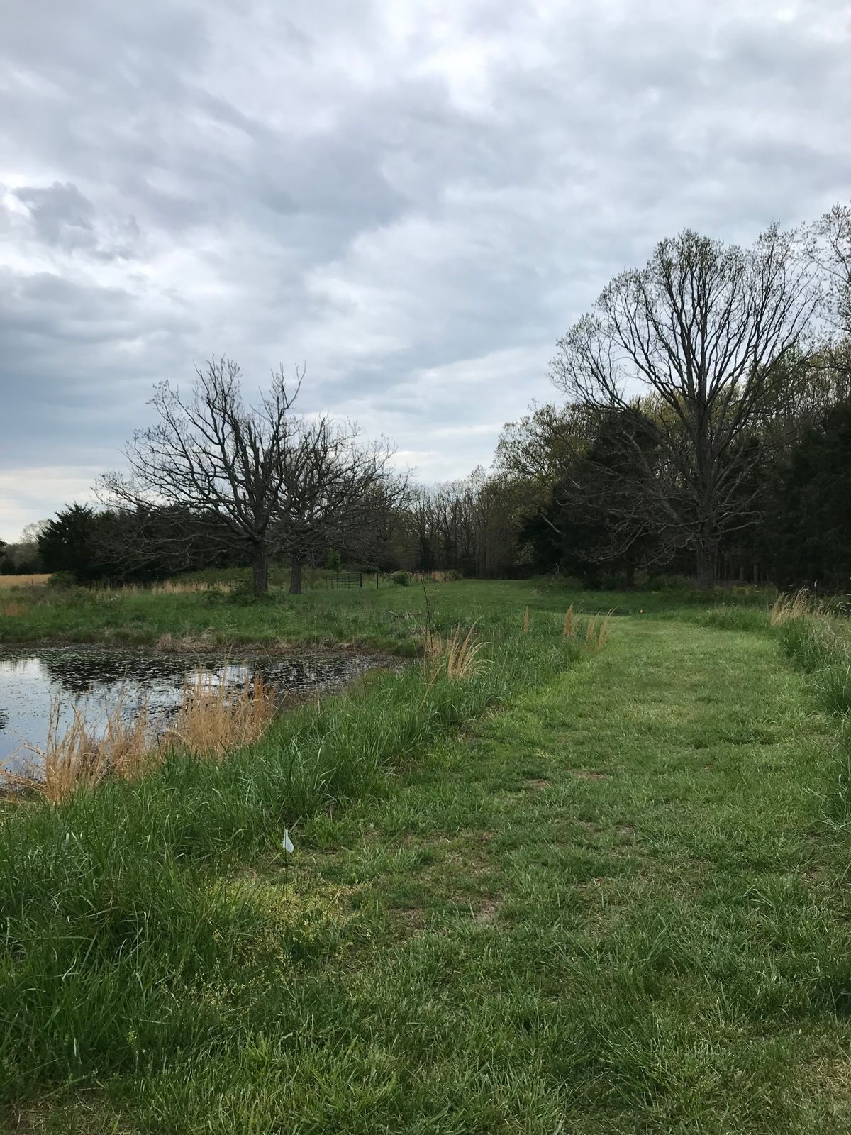 Path to hole 11