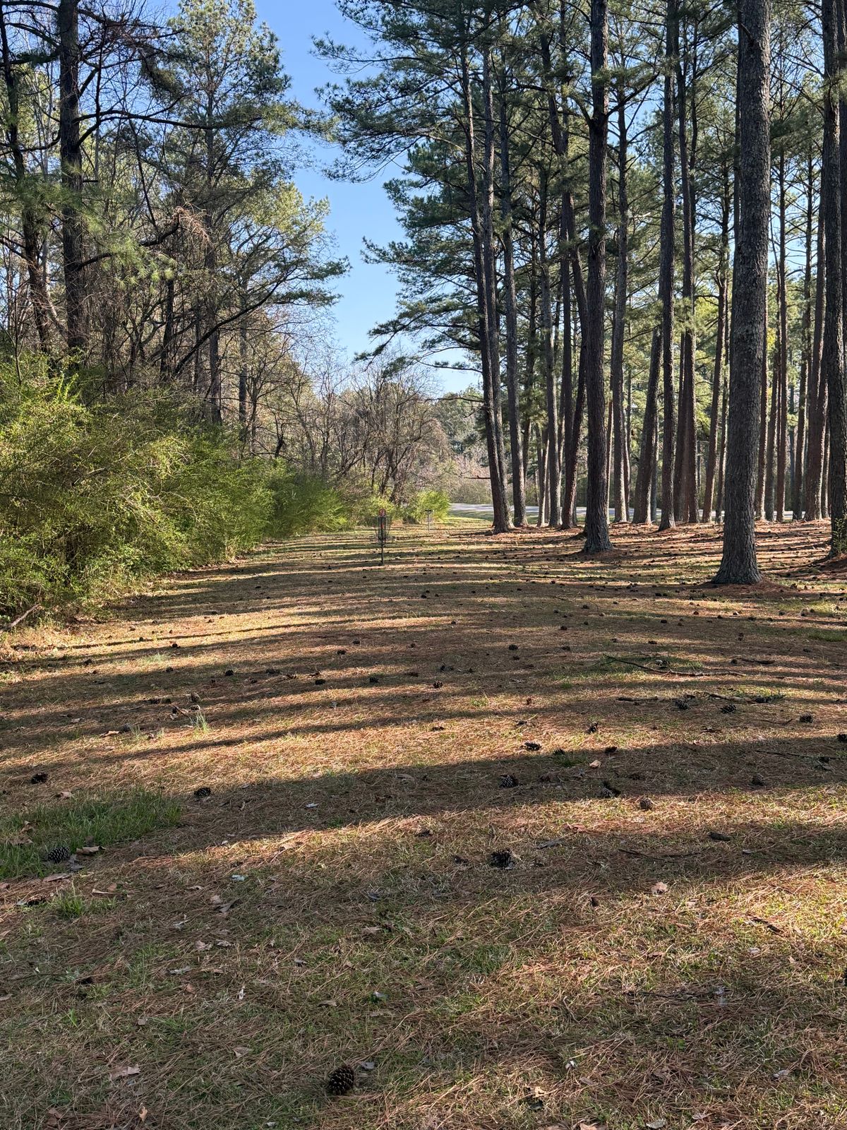 Fairway view