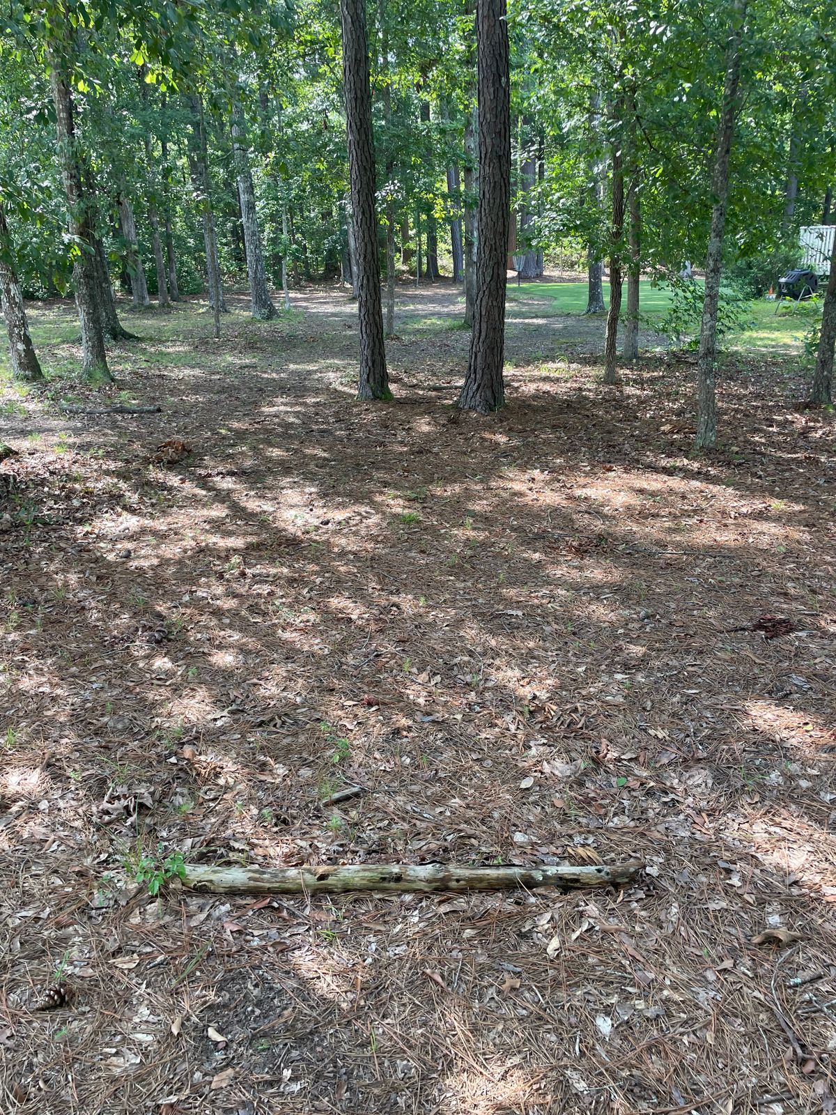 Hole 16