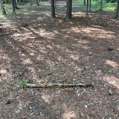 Hole 16