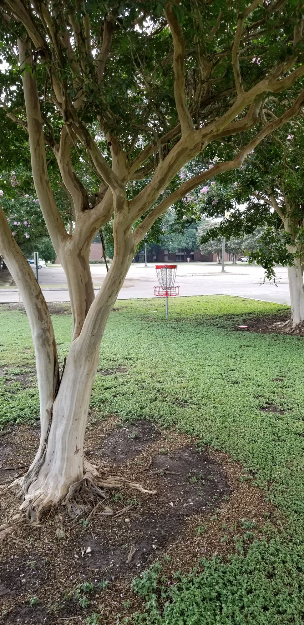 Hole 6 green with OB parking lot behind.