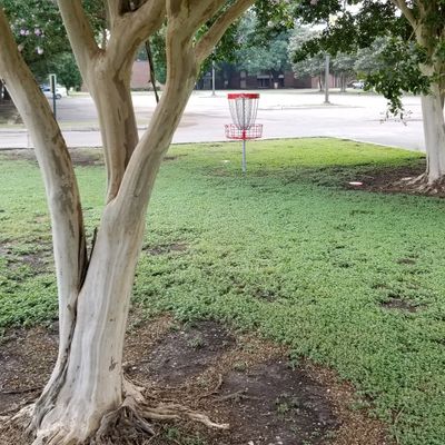 Hole 6 green with OB parking lot behind.
