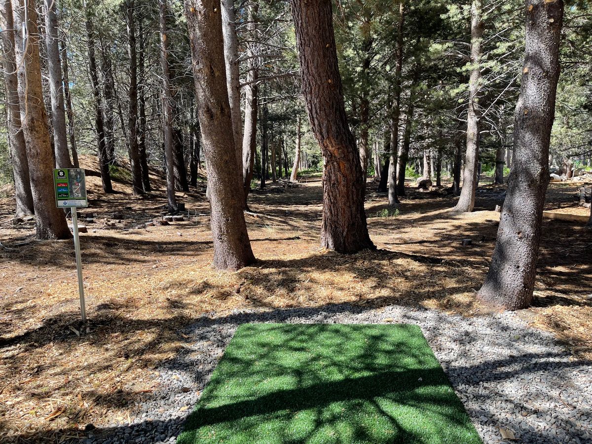 Hole 8 tee, “Sally’s Alley”