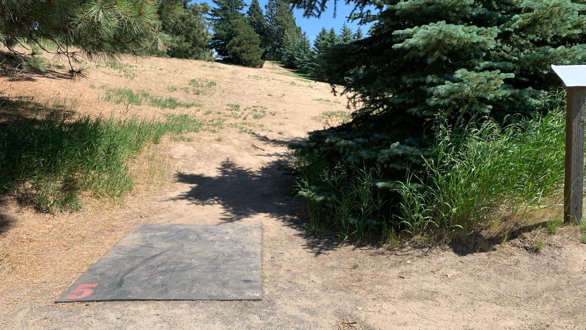 Hole 5