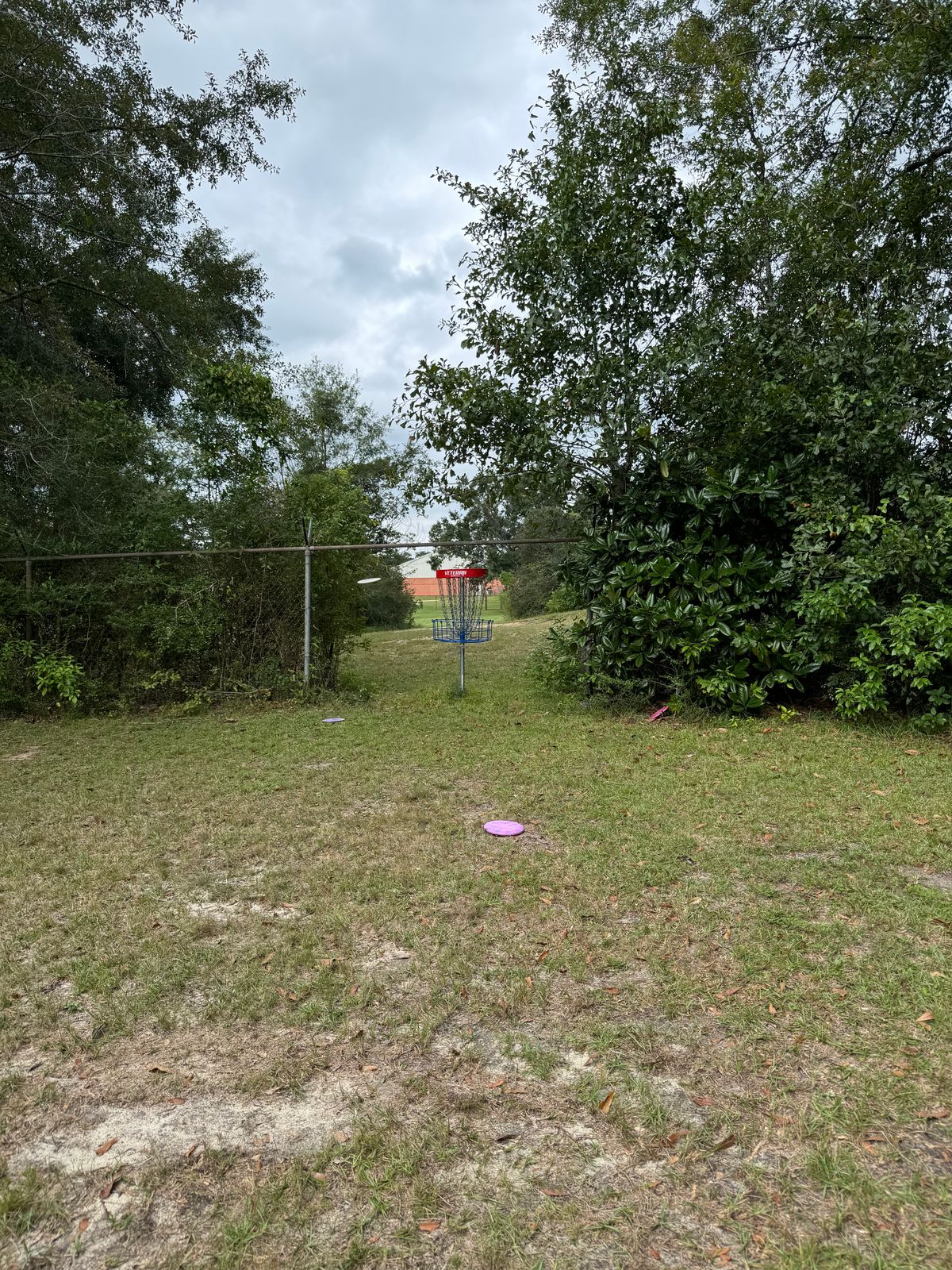Hole 16 basket