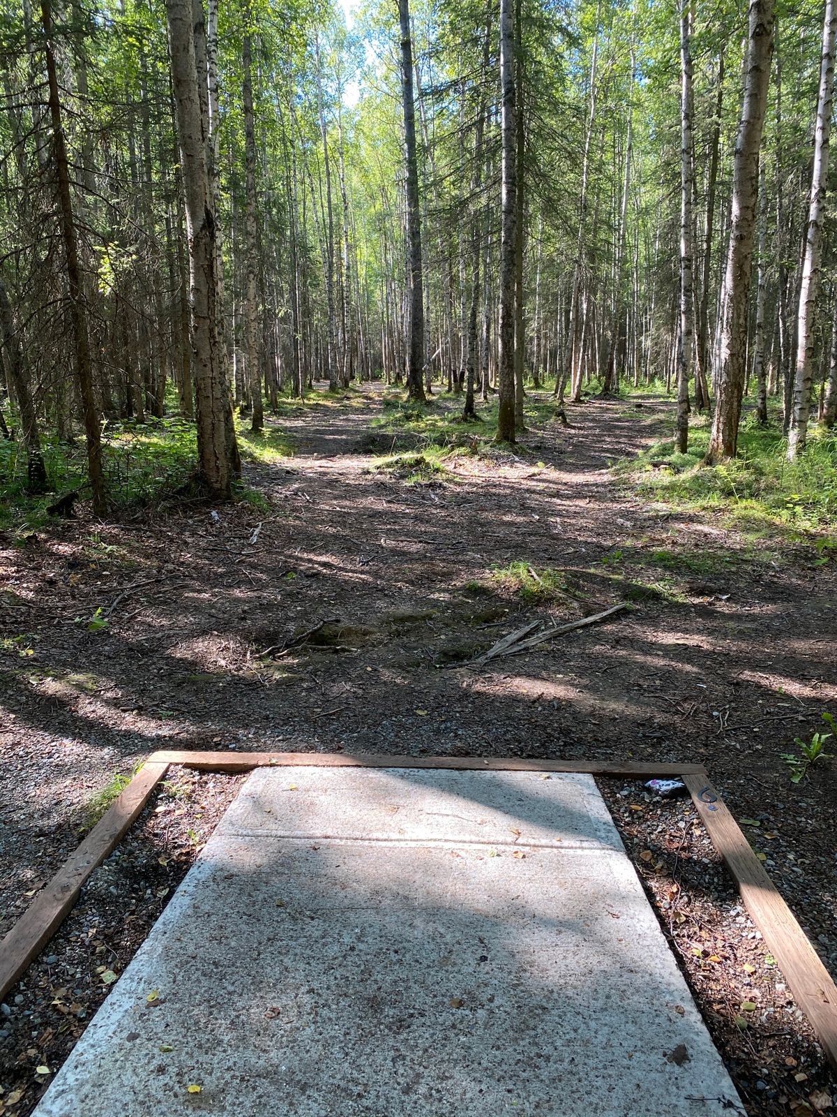 Hole 6