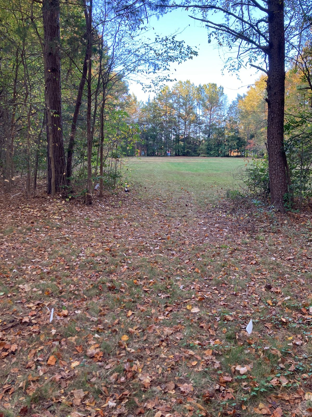 Hole 7. Throwing out of the woods into a clearing