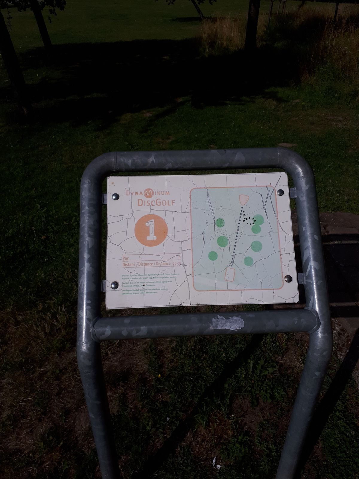 Tee1
