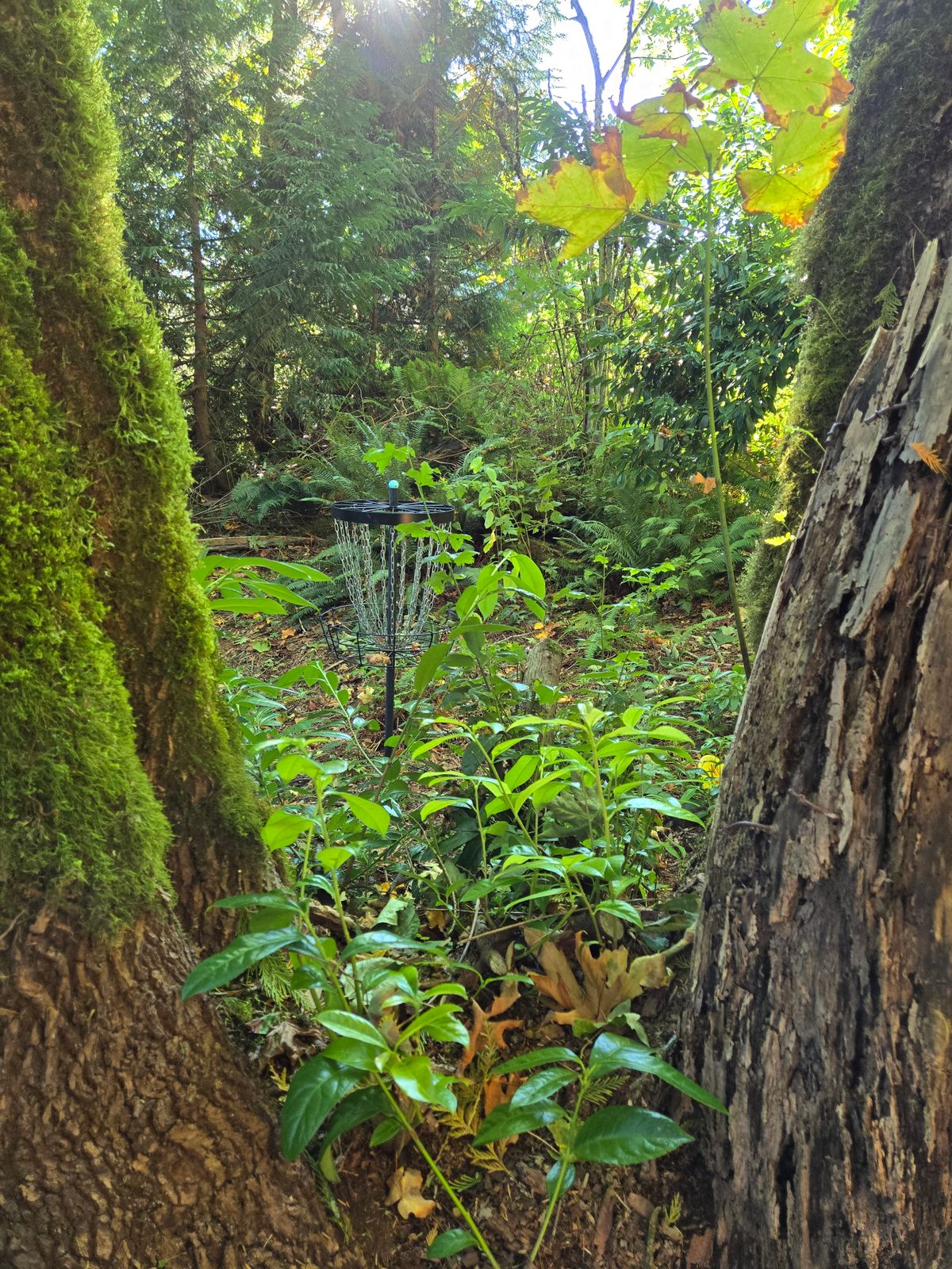 After a double mando, a little trick line to the pin.