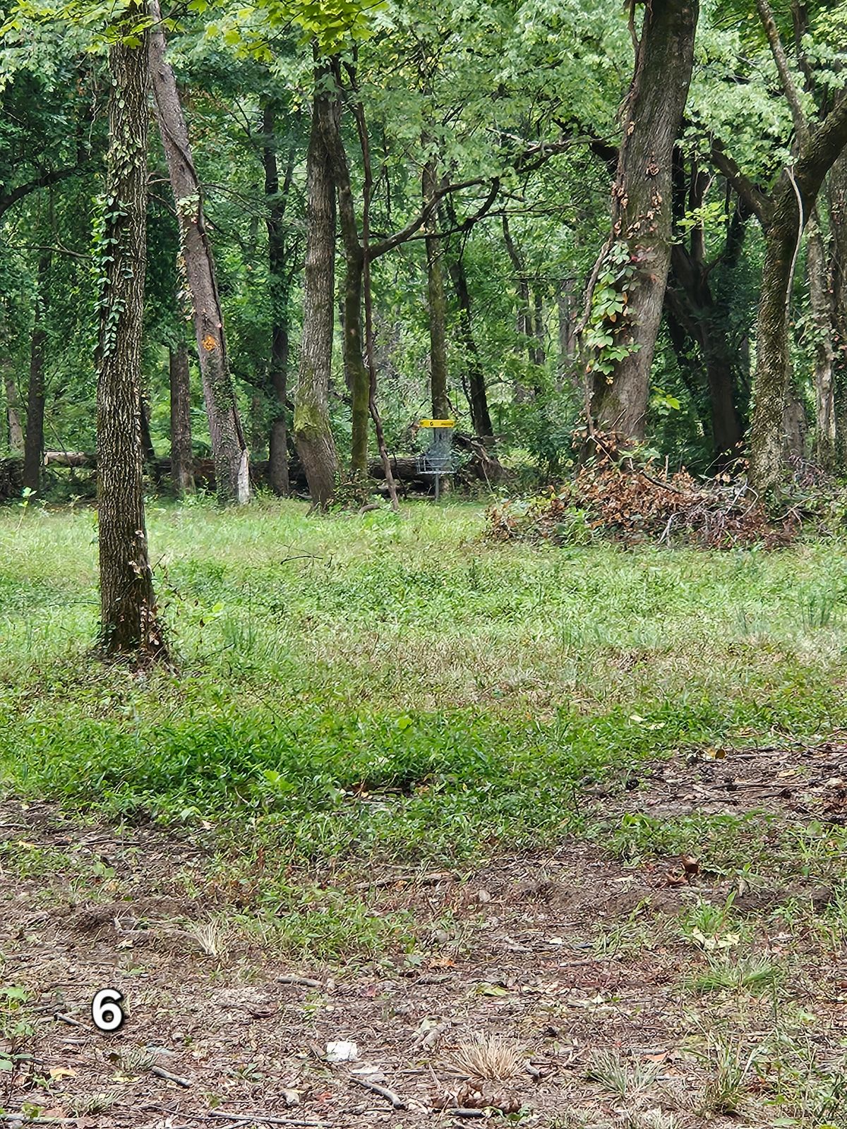 Hole 6