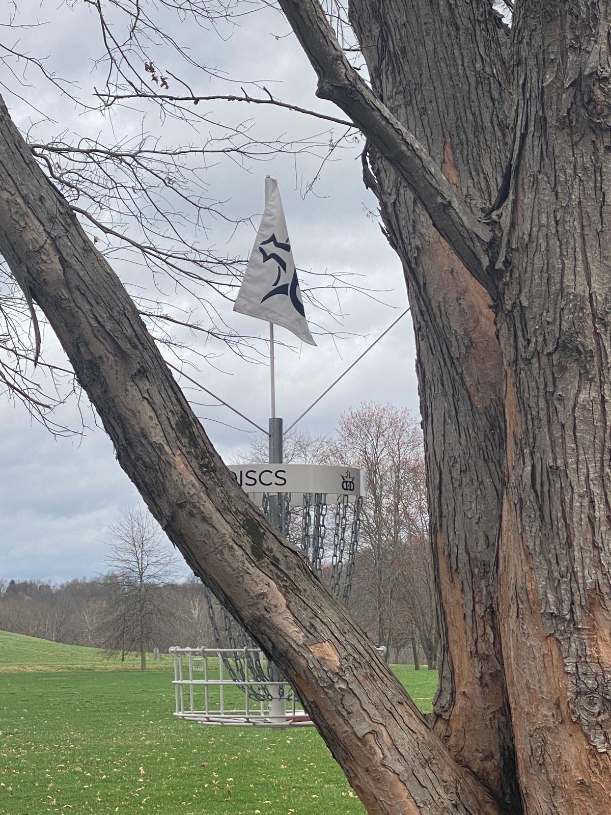 Dial in those approach shots, if you push past basket six, you’ll have to bank the putt off the tree