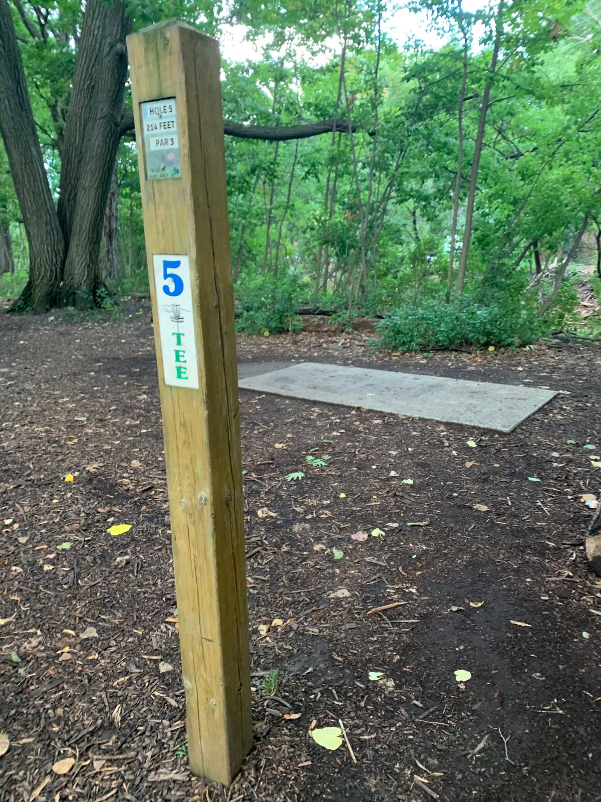 Another dog leg right but a bit further and a bit more challenging.