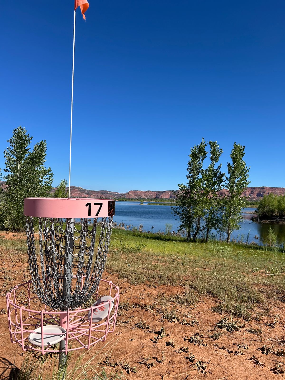 Basket of 17 looking into reservoir. 