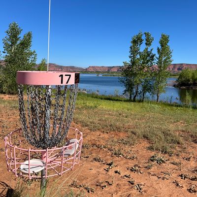 Basket of 17 looking into reservoir. 