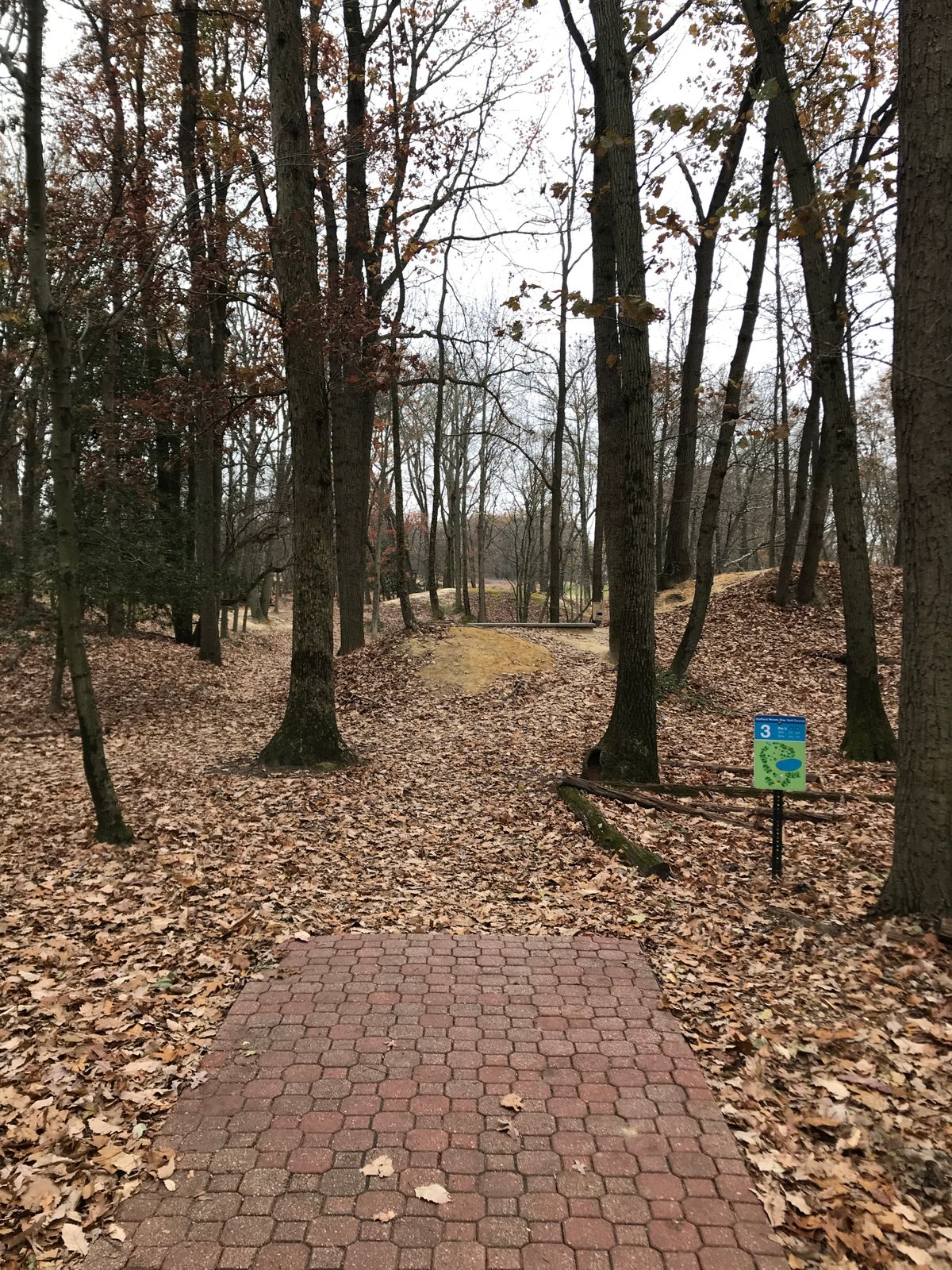 Hole 3 long tee