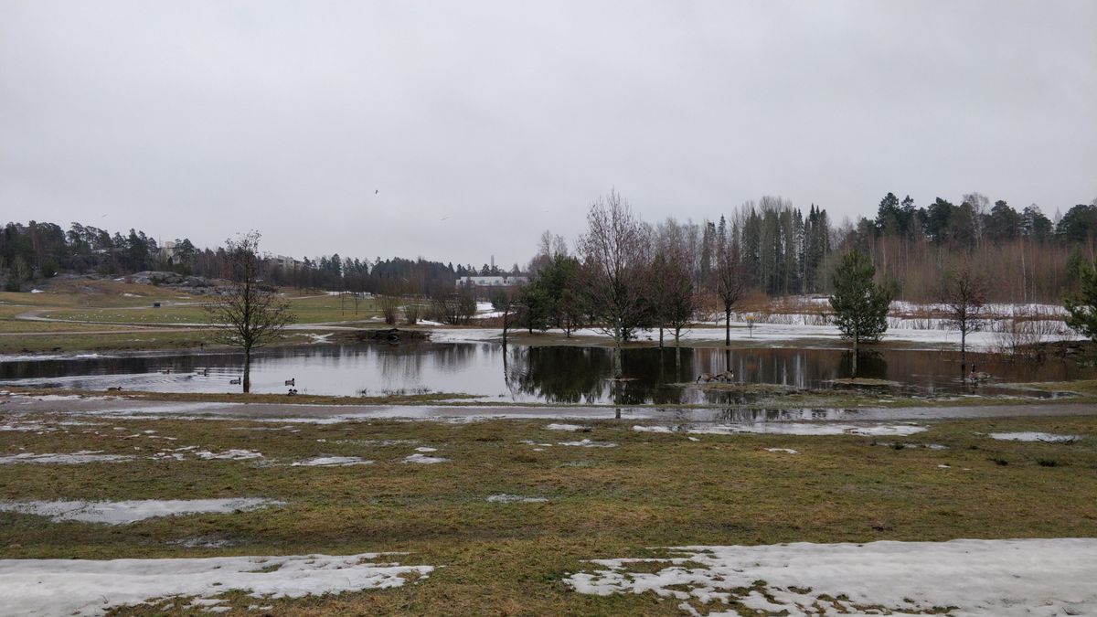 Pond on hole 1 is flooded by about 4m all around. Good for ducks/geese, bad for birdies!