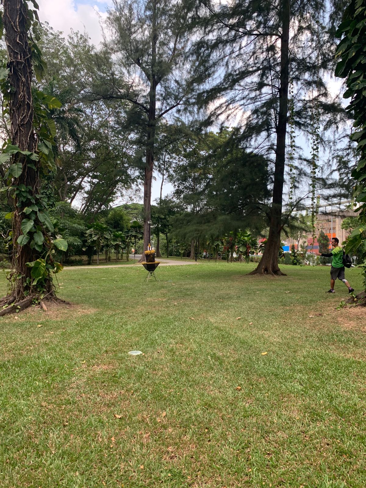 Hole 7 Basket