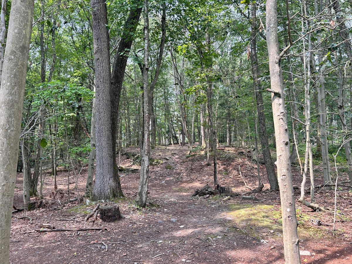 Hole 13