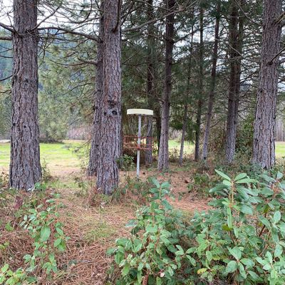 Basket for Hole #2 …. and for Hole #8.
