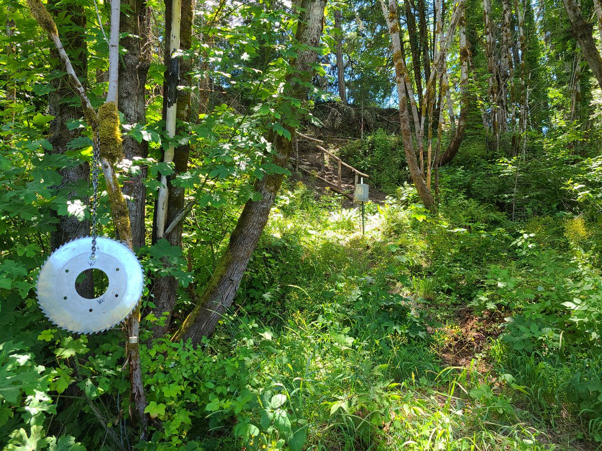 Hole 8