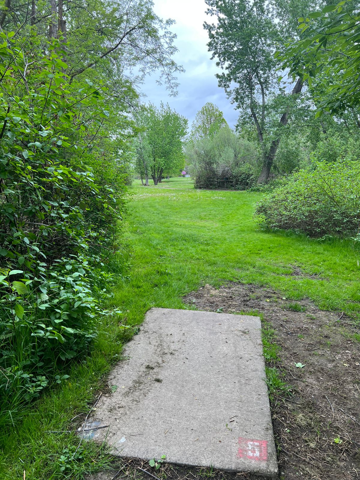 Hole 5 tee