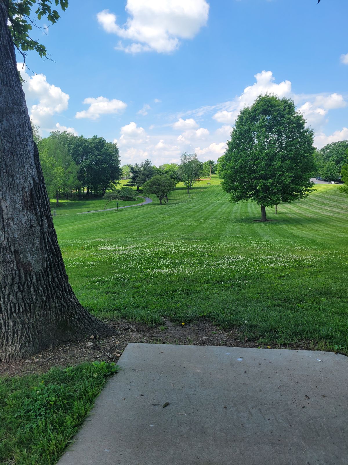 Hole 7 Tee to Basket