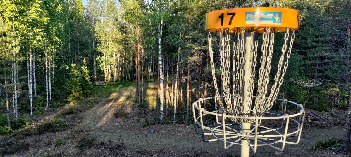 Uusi 17. väylä