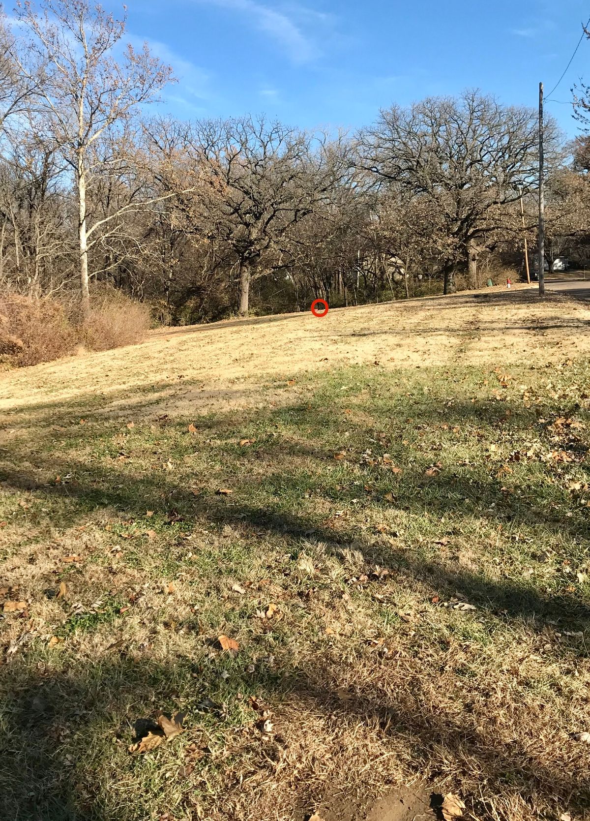 Hole 8 Tee
