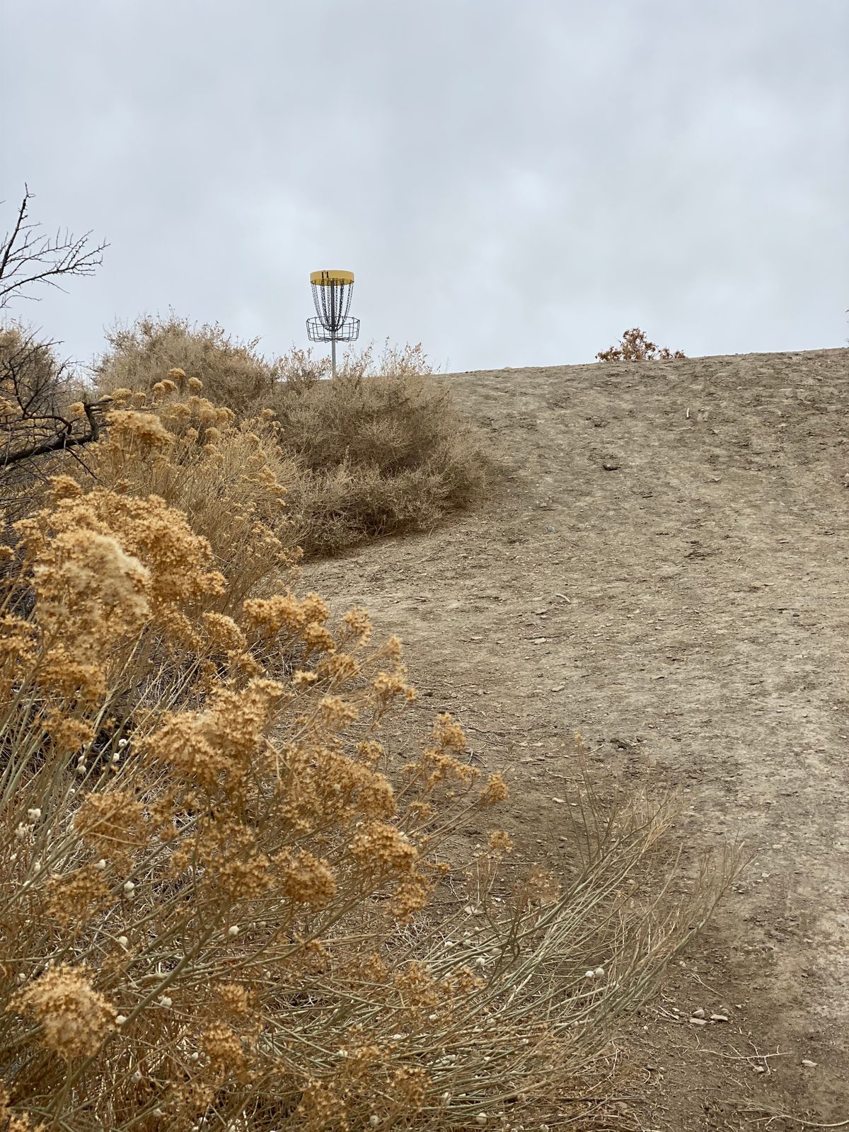 Hole 11