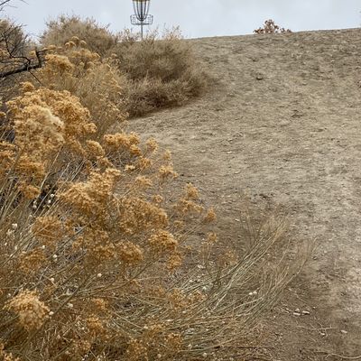 Hole 11
