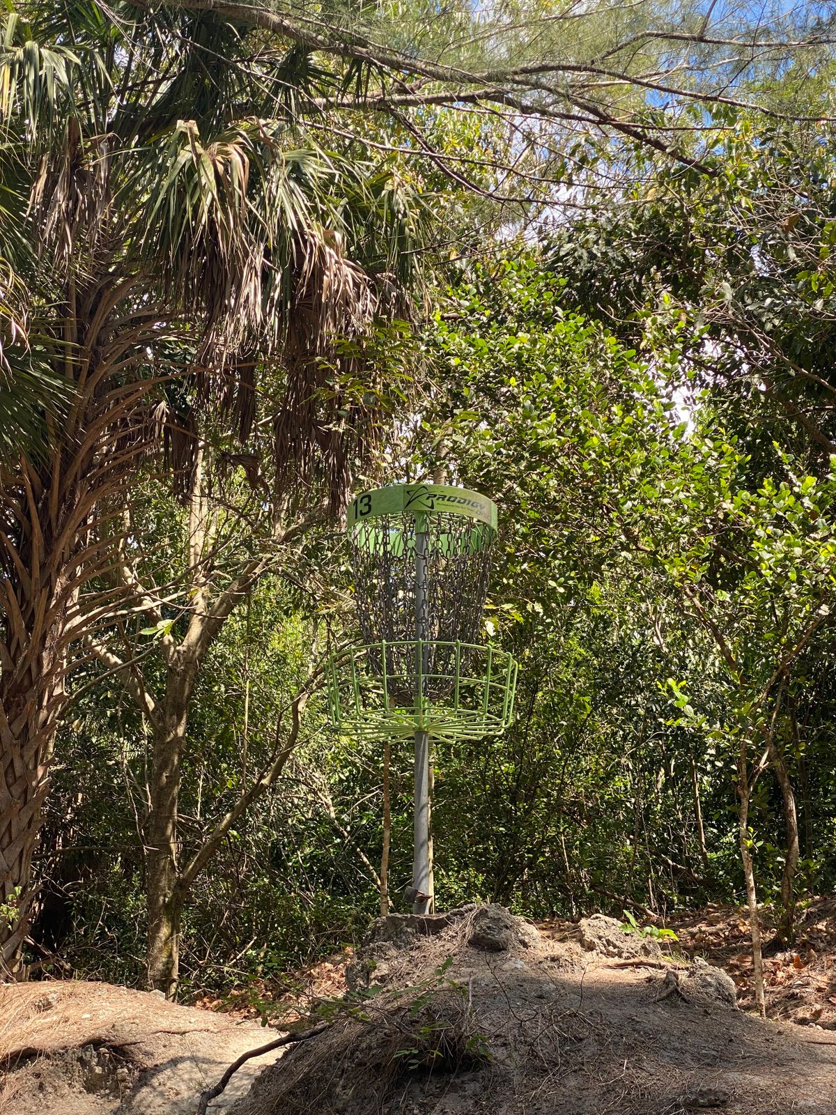 Hole 13 basket