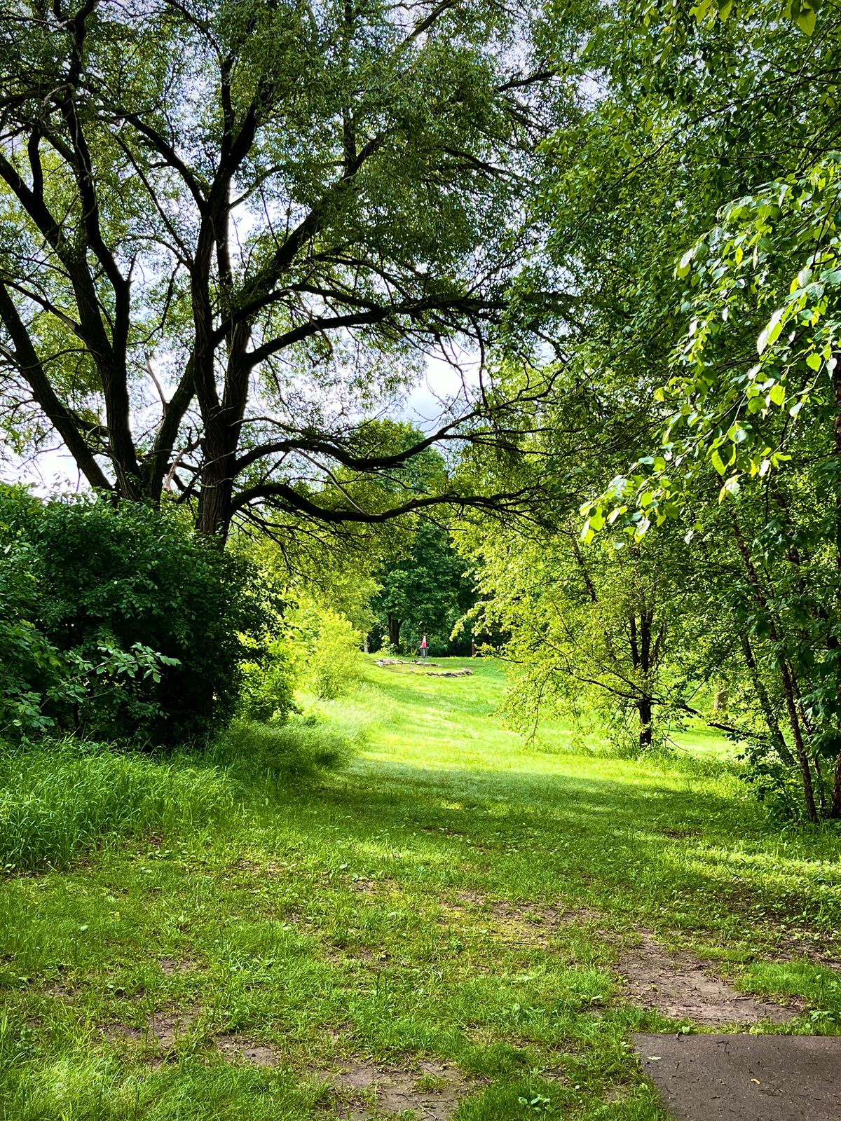 The left tunnel of Hole 8 glowing in the early morning sunlight.