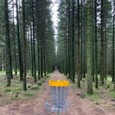Course Photo