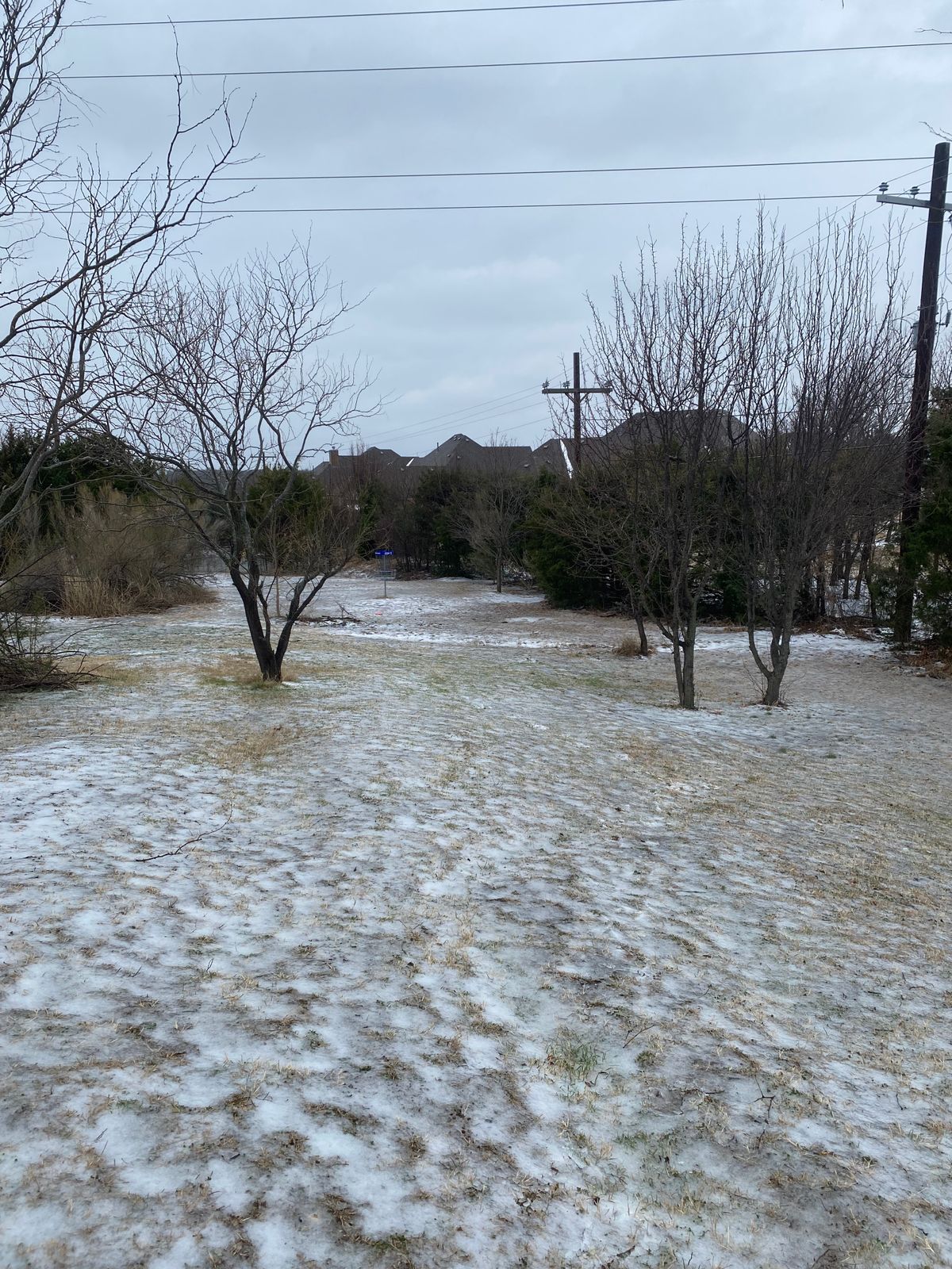 Hole 5 white tee box