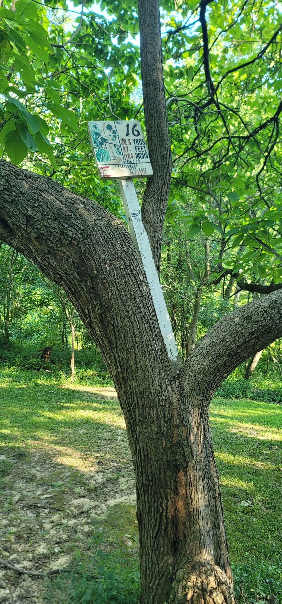 Unique sign placement